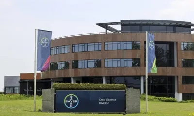 Bayer