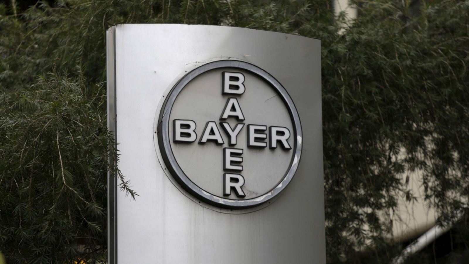 Bayer