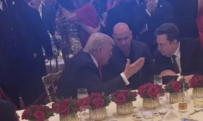 Trump junto a Elon Musk y el hijo de Bolsonaro