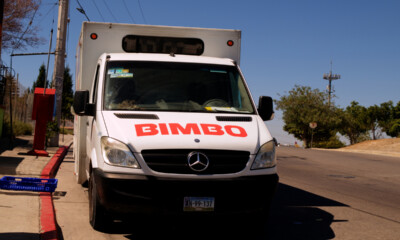 Bimbo