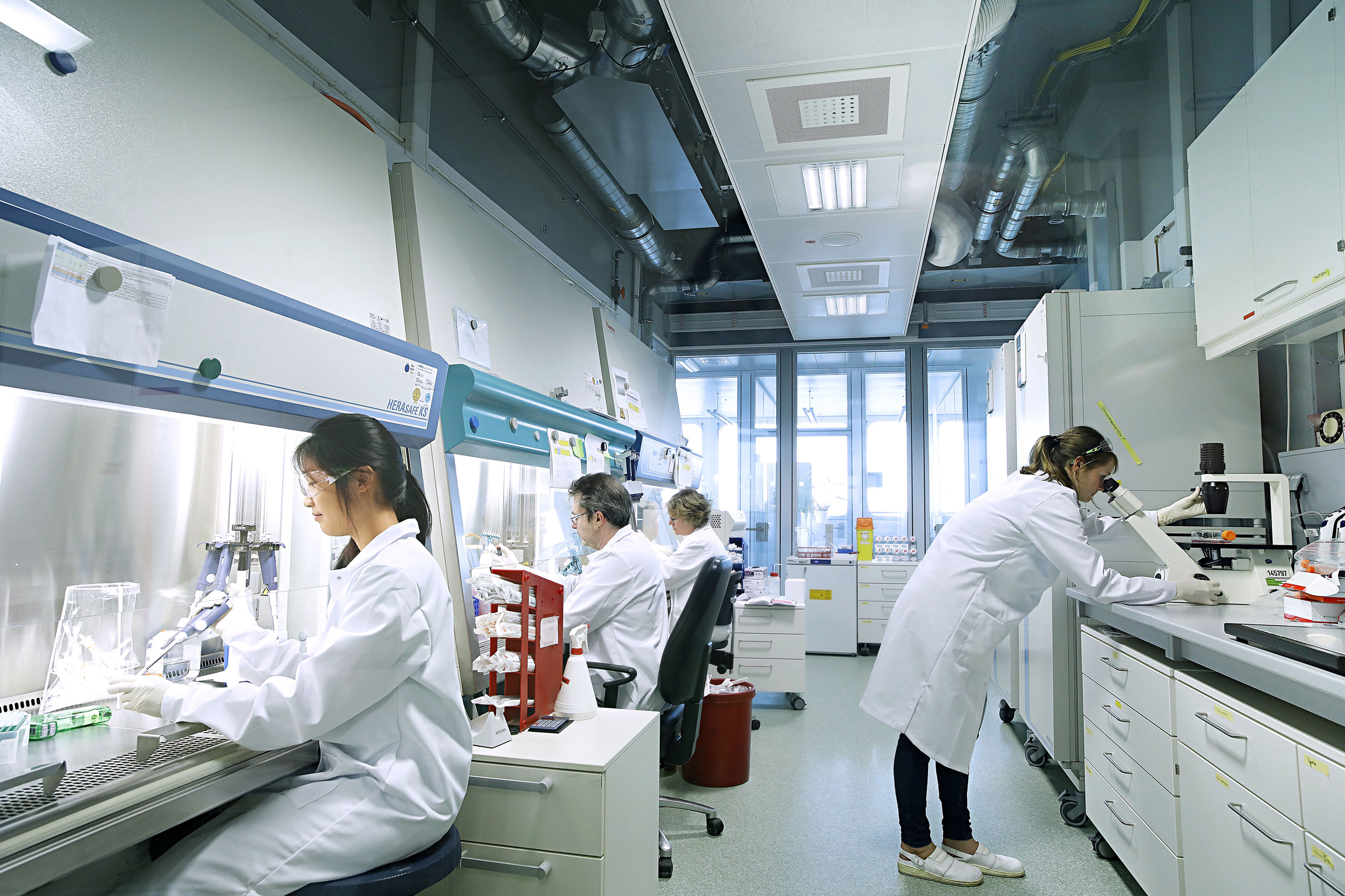 Bayer Bayer
