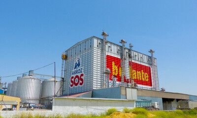 Ebro Foods