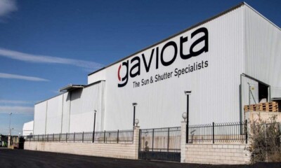 gaviota