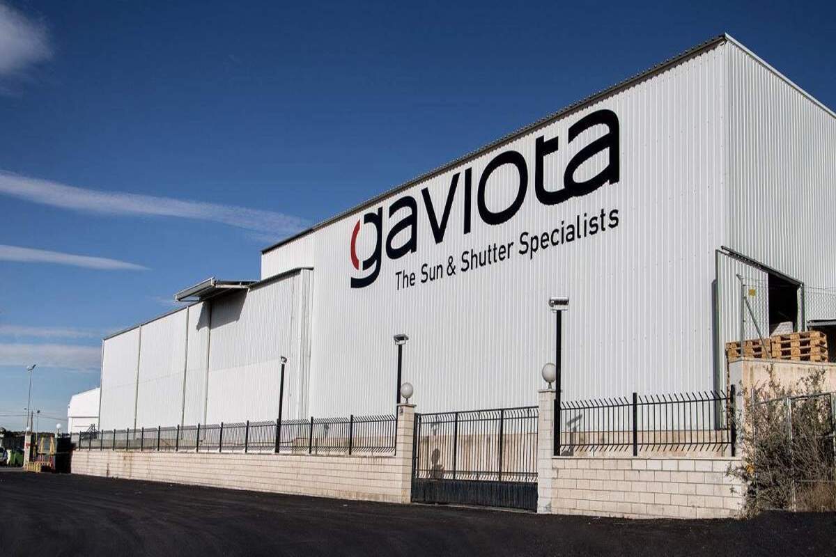 gaviota