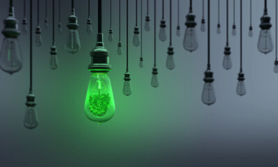 Blackout con moraleja verde