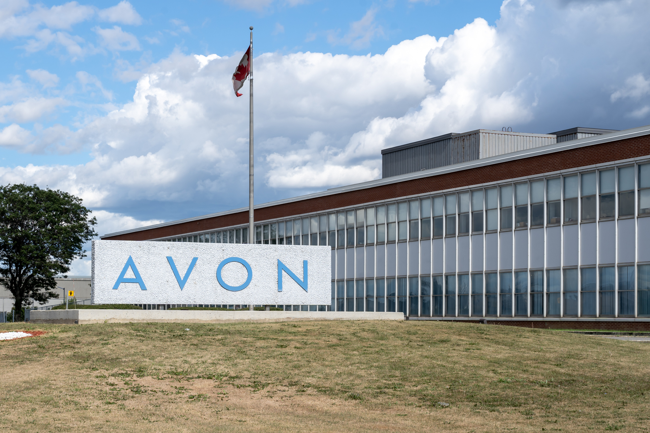 Avon International